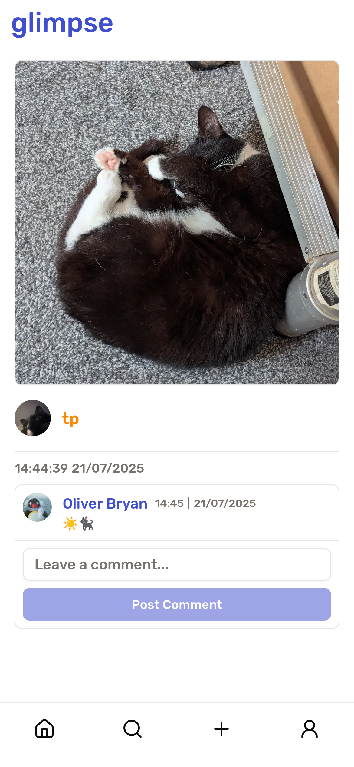 Comments & interactions